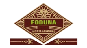 Partner logo 11